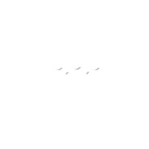 PeopleNet