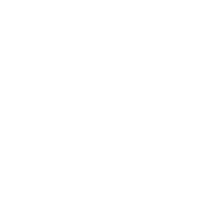BigCHILE
