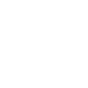 INGELIFT