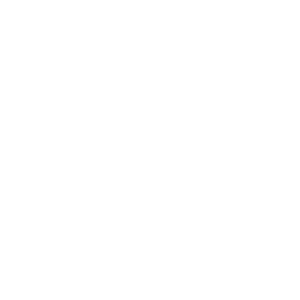 SVR ELEVATORS